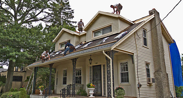 Roof Gutter Cleaning in Spring Lake Heights, NJ